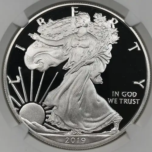 2019 W Early Releases ULTRA CAMEO (2)