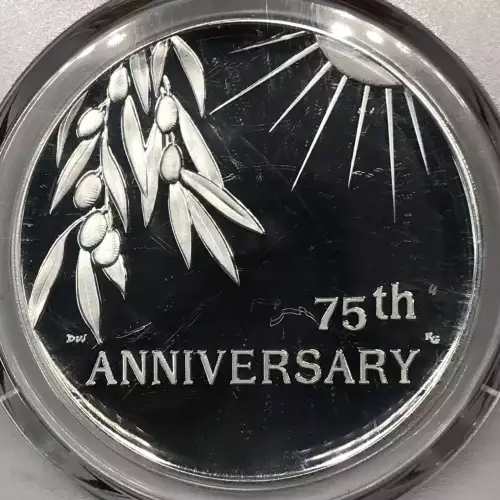 (2020) Medal End of World War II 75th Anniv. First Strike, DCAM