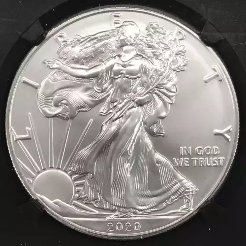 2020 W Burnished Silver Eagle First Day of Issue  (3)