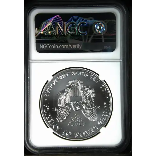 2021 Heraldic Eagle T-1 First Releases (3)