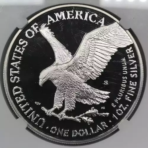 2021 S Eagle Landing T-2 ULTRA CAMEO (2)