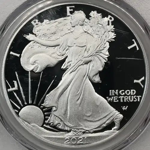 2021-W $1 Silver Eagle - Type 2 First Strike, DCAM (2)