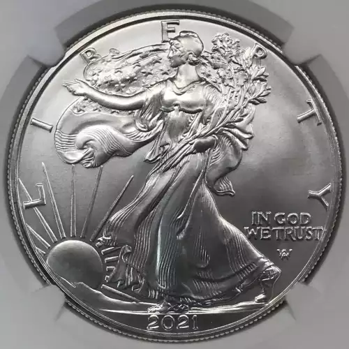 2021 W Eagle Landing T-2 Early Releases Burnished Silver Eagle (3)