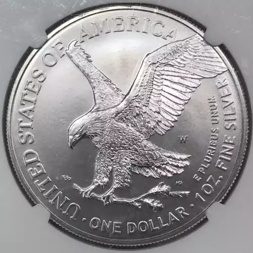 2021 W Eagle Landing T-2 Early Releases Burnished Silver Eagle