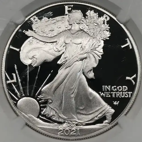 2021 W Eagle Landing T-2 Early Releases ULTRA CAMEO (3)