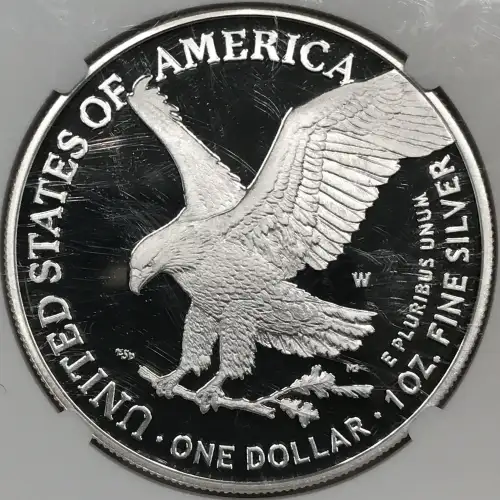 2021 W Eagle Landing T-2 Early Releases ULTRA CAMEO (2)
