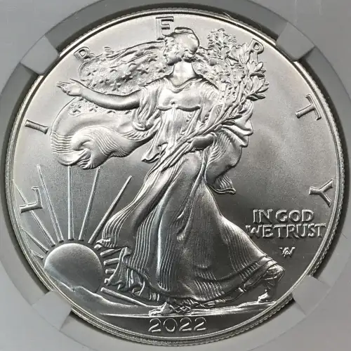 2022 (3)