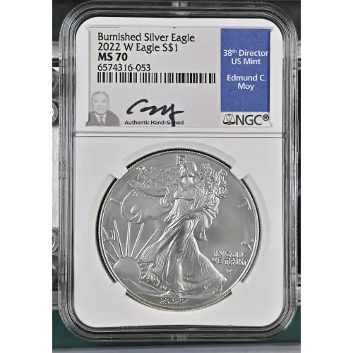 2022 W Burnished Silver Eagle (2)