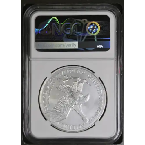 2022 W Burnished Silver Eagle (3)
