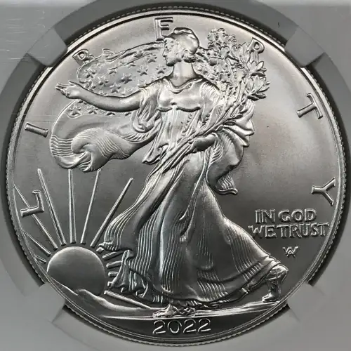 2022 W First Day of Issue Burnished Silver Eagle (2)