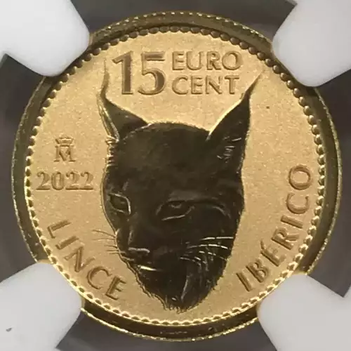 2022M Spanish Doubloon - Lynx  (2)