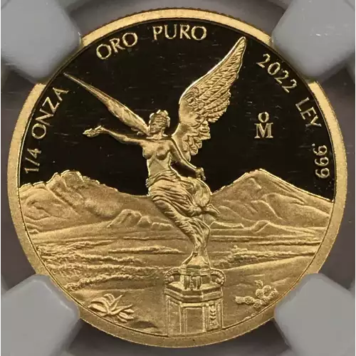 2022Mo Gold Early Releases ULTRA CAMEO (4)