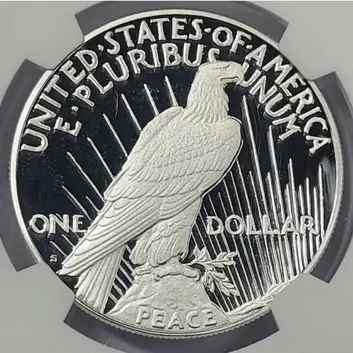 2023 S  ULTRA CAMEO (3)