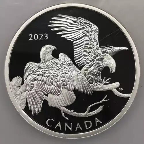 2023 The Striking Bald Eagle First Releases ULTRA CAMEO (4)