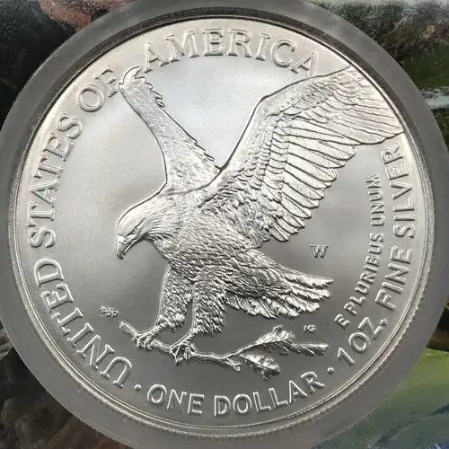 2023 W Early Releases Burnished Silver Eagle (3)