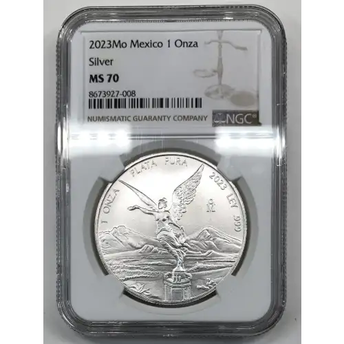 2023Mo Silver (3)