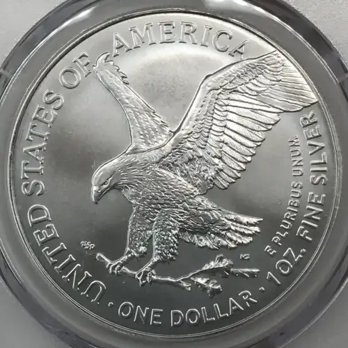 2024-(P) $1 Silver Eagle with Star Privy Struck at Philadelphia (3)