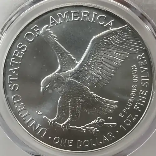 2024-(P) $1 Silver Eagle with Star Privy Struck at Philadelphia