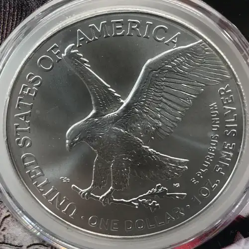 2024-(P) $1 Silver Eagle with Star Privy Struck at Philadelphia First Strike
