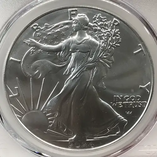 2024-(P) $1 Silver Eagle with Star Privy Struck at Philadelphia First Strike (2)