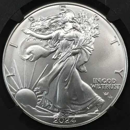 2024(P) Star Privy (2)