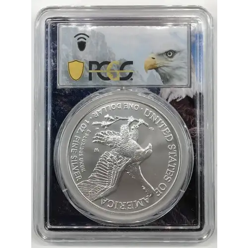 2025-W $1 Burnished Silver Eagle Eagle Mountain Picture Frame