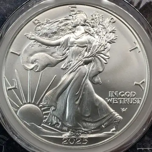 2025-W $1 Burnished Silver Eagle Eagle Mountain Picture Frame (3)
