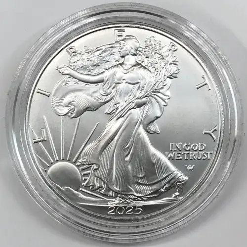 2025-W Burnished Uncirculated Silver Eagle w OGP - Box & COA (2)