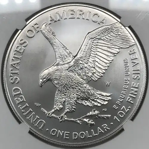 2025 W Early Releases Burnished Silver Eagle (2)