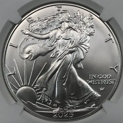 2025 W First Day of Issue Burnished Silver Eagle (3)