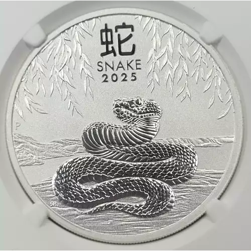 2025P Year of the Snake First Releases (4)