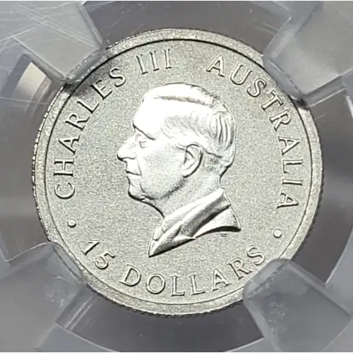 2026P Kookaburra (3)