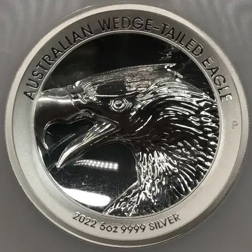 5 oz Silver COIN (2)