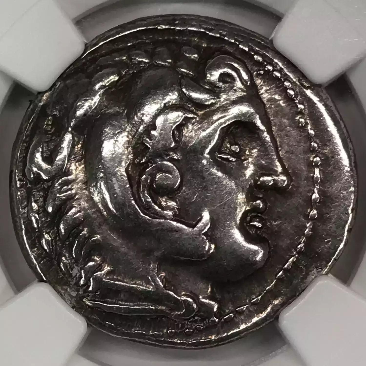 336-323 BC NGC Ancients Ch-VF-Strike:-4/5-Surface:-3/5 Kingdom of ...