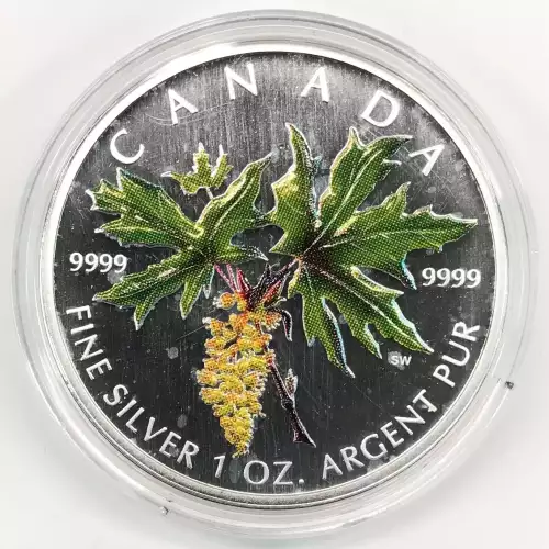 Canada 1 oz Silver Maple Leaf $5 Coin (generic, any year, any type)