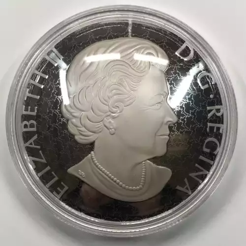 Canada 5 oz Silver $50 Coin (generic, any year) (3)