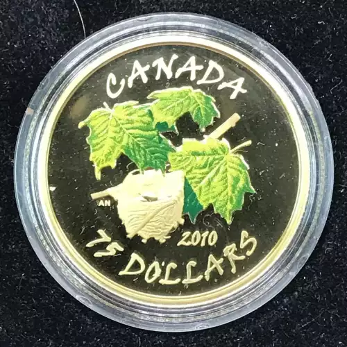 Canada Gold 4-Coin Set (generic, any weight/denomination)