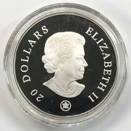 CANADA Silver 20 DOLLARS (~1.5 oz / 50 grams) (generic) (3)