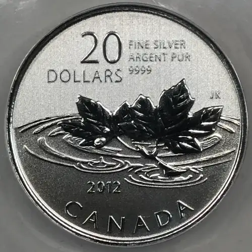 CANADA Silver 20 DOLLARS (7.96 grams / ~1/4 oz) (generic) (3)