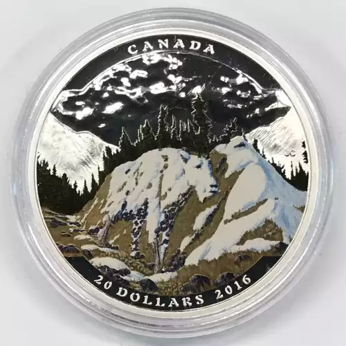 Canada Silver 5-Coin Set (generic, any weight/denomination)  (3)