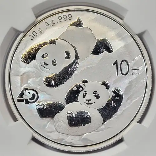 CHINA, PEOPLE'S REPUBLIC 1 oz Silver Panda 10 YUAN (2014, KM# ???, PAN-610A) (2)