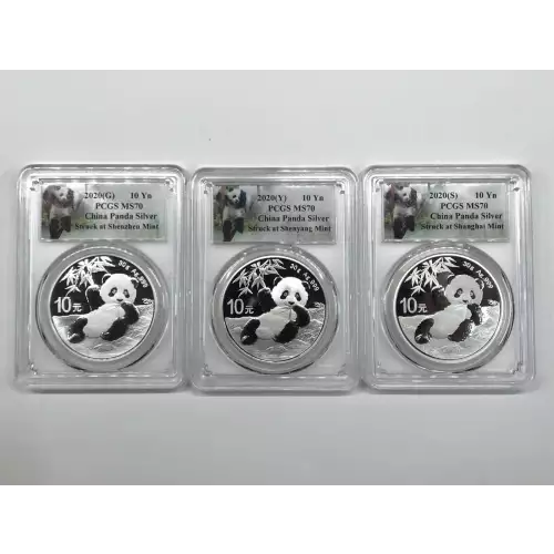 CHINA, PEOPLE'S REPUBLIC 30 g Silver Panda 10 YUAN (2016-present) (2)
