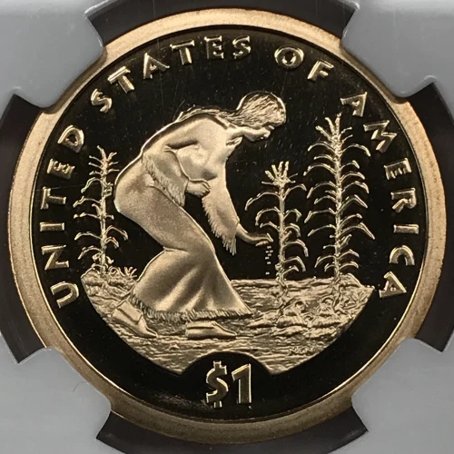 Dollars---Native American 2009-Present -Brass- 1 Dollar