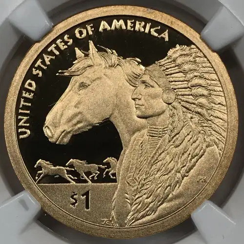 Dollars---Native American 2009-Present -Brass- 1 Dollar (2)