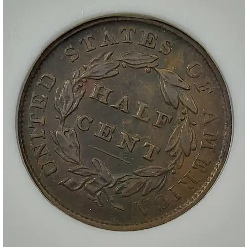Half Cents -Classic Head 1809-36 -Copper (4)