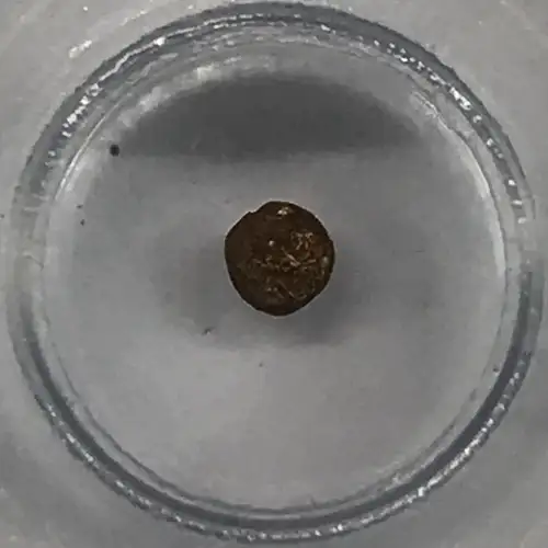 India Gold Bele (3)