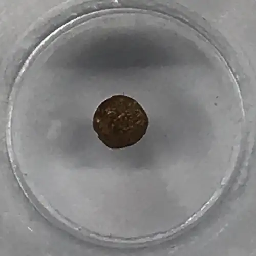 India Gold Bele (4)
