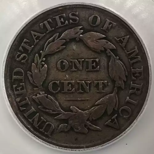 Large Cents - Braided Hair Cent (1839-1857) (4)