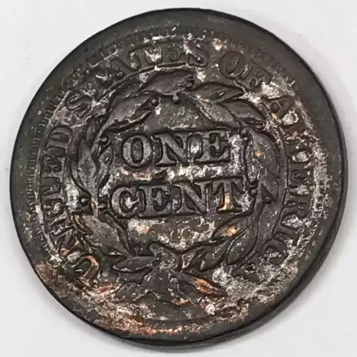 Large Cents - Braided Hair Cent (1839-1857) (4)