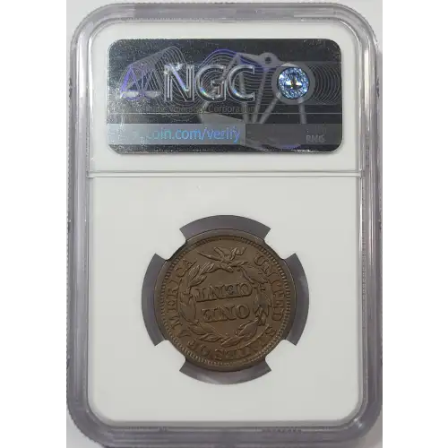 Large Cents - Braided Hair Cent (1839-1857) (4)